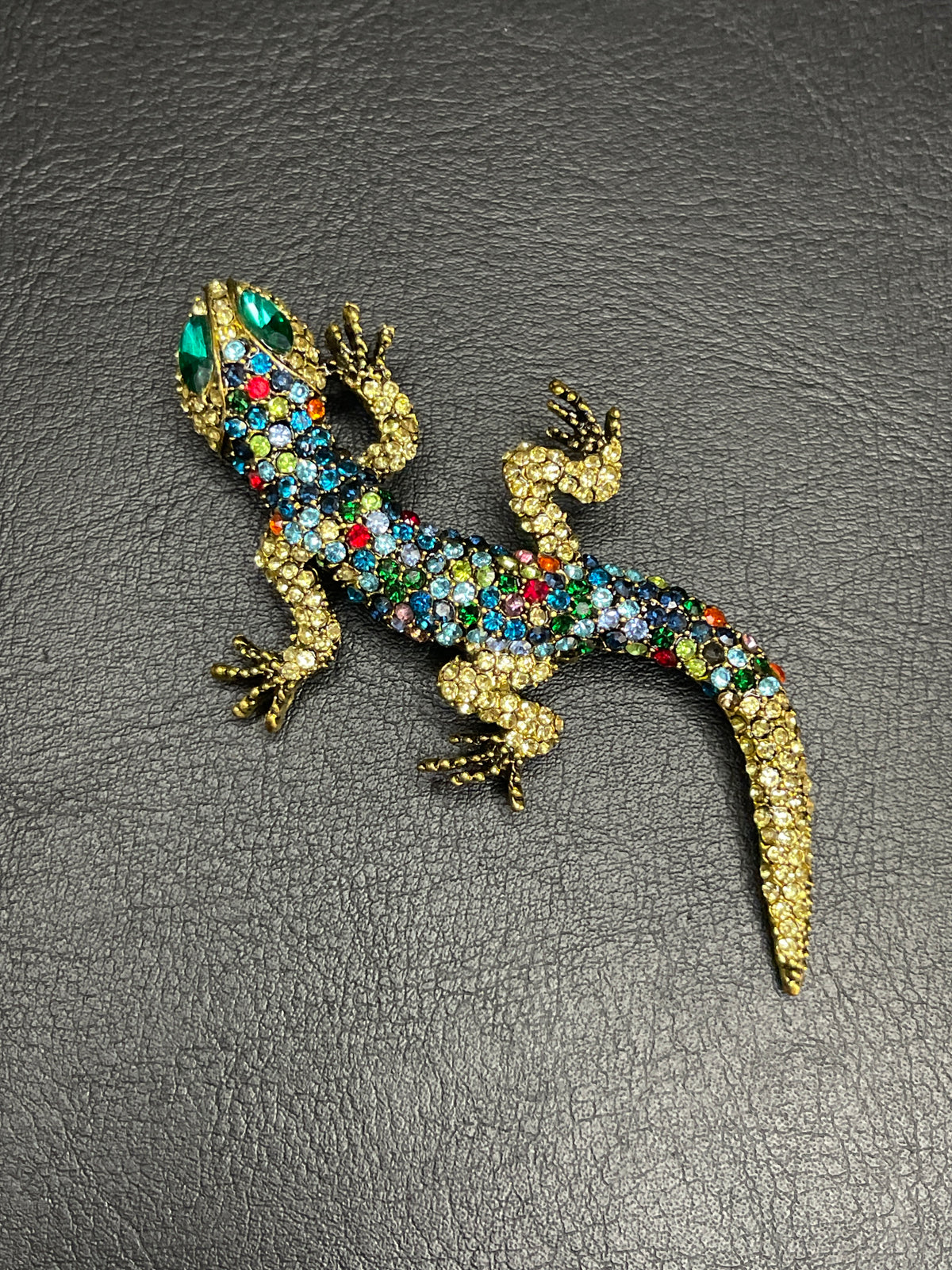 Pregadeira Lagarto