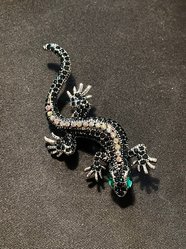 Pregadeira Lagarto