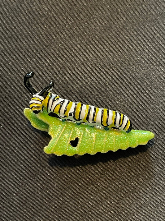 Pregadeira Lagarta